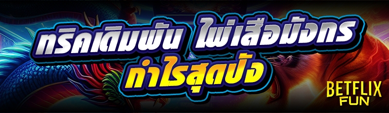 ทริคเดิมพัน ไพ่เสือมังกร กำไรสุดปัง