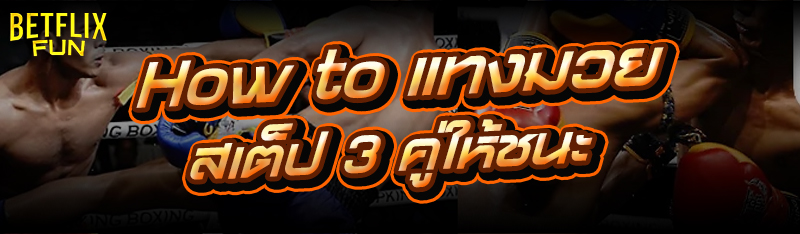 How to แทงมวยสเต็ป 3 คู่ให้ชนะ