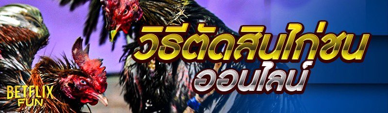 วิธีตัดสินไก่ชนออนไลน์