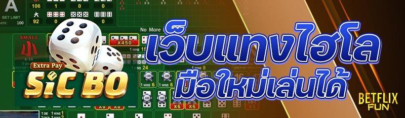 เว็บแทงไฮโล มือใหม่เล่นได้