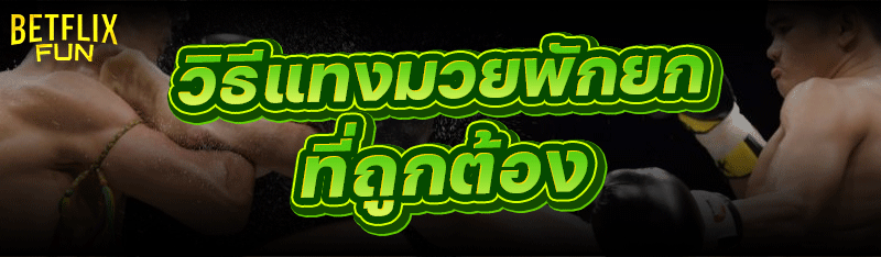 วิธีแทงมวยพักยก ที่ถูกต้อง